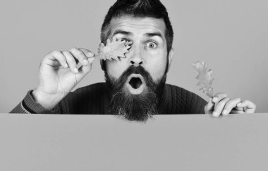 Sakallı adam gözlerinde kuru meşe ağacı yaprakları tutuyor.