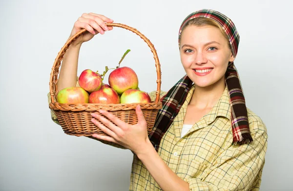 Mujer alegre llevar cesta con frutas naturales. Mujer jardinero estilo rústico celebrar cesta con la cosecha de manzanas sobre fondo claro. Concepto de regalos naturales. Mujer agricultora o jardinera orgullosa de su cosecha — Foto de Stock