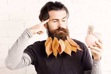 yakışıklı sakallı adam şık bıyık ve sonbahar sarı beyaz tuğla duvar arka plan üzerinde pembe domuz domuz banka ile ciddi bir yüz düşünme üzerine uzun sakal bırakır