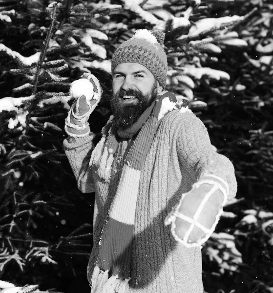Hipster con barba en sombrero de punto y bufanda lanza bola de nieve . — Foto de Stock