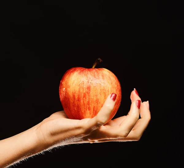 Manzana en color rojo y naranja en la palma de las niñas . — Foto de Stock