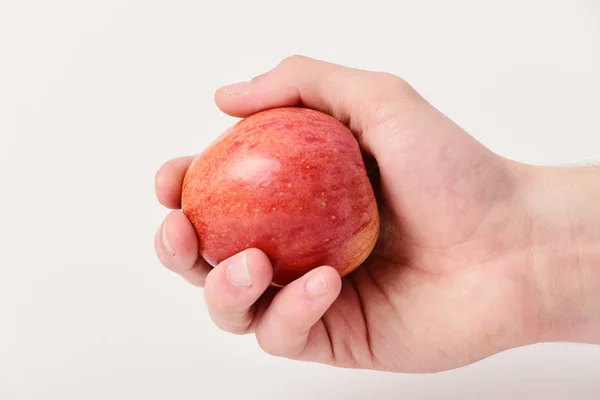 Owoce jabłko na jasnoszarym tle. Apple w soczysty kolor — Zdjęcie stockowe