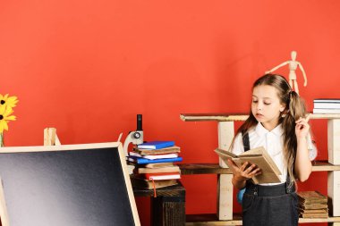 Geri okul ve eğitim kavramı. Çocuk ve okul malzemeleri