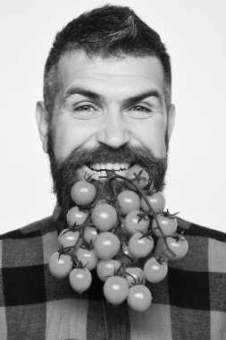 Çiftçilik ve bahçıvanlık. Gülümseyen çiftçi elinde vişneli domates tutuyor