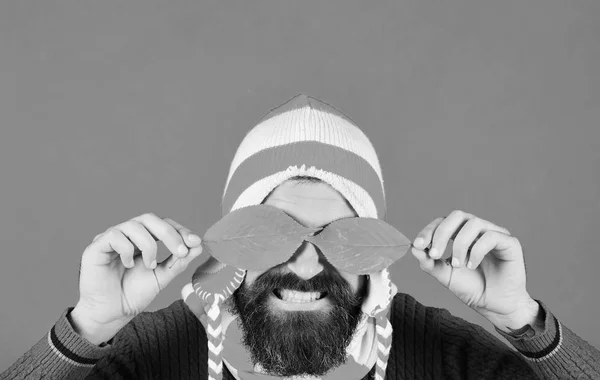 Hipster szakállal és mosollyal becsukja a szemét levéllel — Stock Fotó
