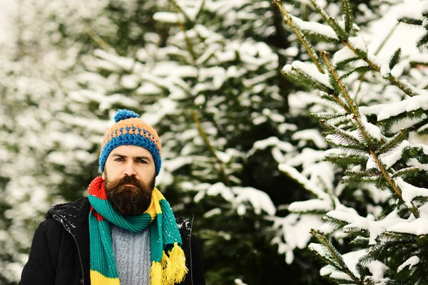 Macho con barba y bigote con copos de nieve en su ropa . —  Fotos de Stock
