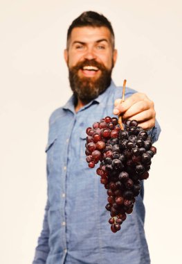 Çiftçi hasatını gösteriyor. Hayvanat bahçesi ve bahçecilik konsepti