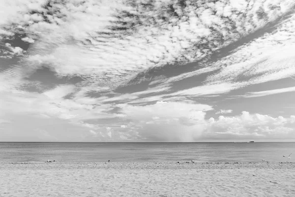 Praia do mar com areia branca e água azul em miami, EUA. A paisagem marinha no céu nublado. Férias de verão em resort tropical. Descoberta ou aventura e luxúria — Fotografia de Stock