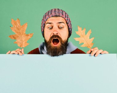 Sakallı adam meşe yaprağı tutuyor. Şaşırmış yüzlü adam.