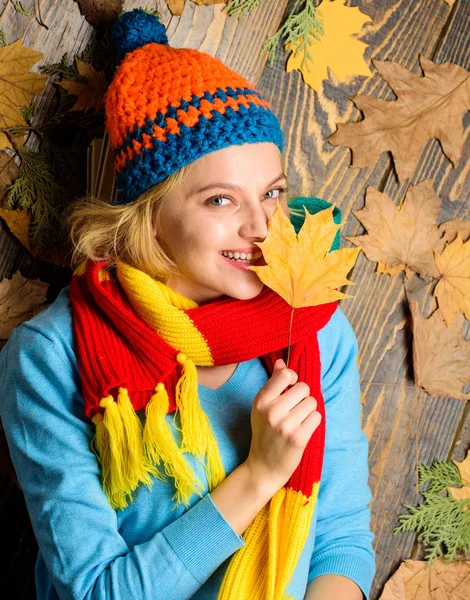 Fall and autumn season concept. Hipster woman knitted hat and scarf hold autumn leaves bouquet. Fall cozy atmosphere. Girl cheerful face lay on wooden background with orange leaves top view — Stock Photo, Image