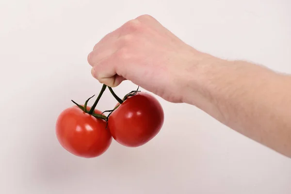 Pomidory są umieszczone na jasnoszarym tle. Męskie ręce trzyma pomidory — Zdjęcie stockowe