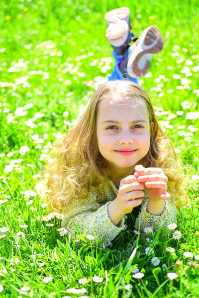 Duyarlılık kavramı. Küçük kız yeşil çayır ve koku daisy döşeme. Papatya çiçek kız güler yüz tutan, aroma kokla. Çocuk zevk bahar güneşli havalarda çayır papatya çiçeği ile yalan süre