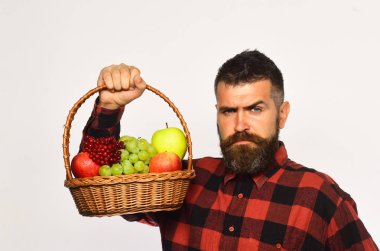 Çiftçilik ve sonbahar ürünleri konsepti. Sakallı adam sepeti tutuyor.