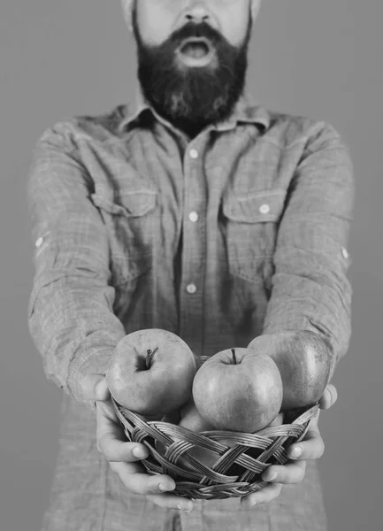 Αγρότης με έκπληξη στο πρόσωπο κρατά κόκκινα μήλα, κοντά. — Φωτογραφία Αρχείου