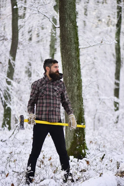 Adam sıcak eldiven ve ormandaki kareli ceket.