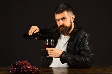 Ciddi yüzlü degustator bir demet koyu üzümün yanında oturur.