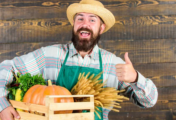 Il cappello di paglia da contadino hipster consegna verdure fresche. Uomo allegro contadino barbuto indossare grembiule presentando scatola di verdure sfondo in legno. Servizio di consegna verdure fresche. Scatola di verdure biologiche fresche — Foto Stock