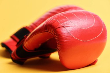 Dövüş ve eğitim için deri kutu ekipmanı.