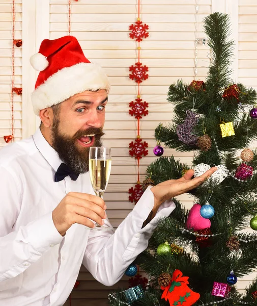 Homem com barba olha para taça de champanhe e mostra árvore — Fotografia de Stock