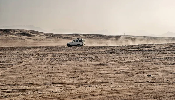 Witte safari jeep Auto in zandduin — Stockfoto