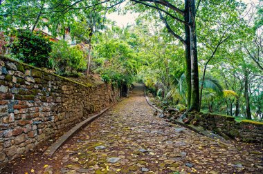 çakıl, tropikal orman ahşap veya yağmur ormanları arasında taşlı yol