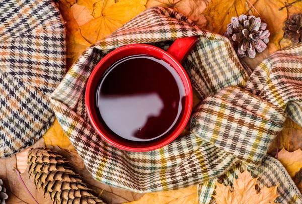 Kupa rahat aromatik içecek eşarp ve kepi. Sonbahar yürüyüş için sıcak bir içecek. Çay bir fincan eşarp düşmüş akçaağaç yaprakları ve köknar koniler ile arka plan ile çevrili kaplı. İçecek ısınma