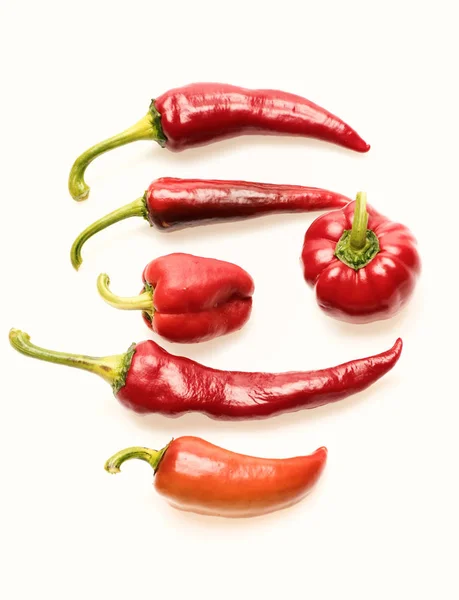 Chili paprika 's van rode kleur geïsoleerd op witte achtergrond. — Stockfoto