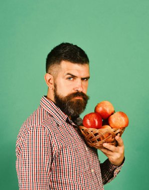 Adam homegrown hasat sunar. Tarım ve sonbahar bitkileri kavramı