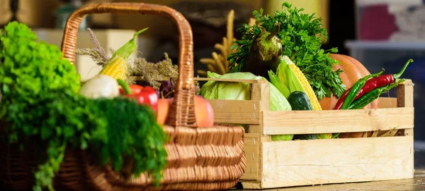 Herbsternte Bioprodukte Kürbismais-Gemüse. Gemüse aus eigenem Anbau. frisches Bio-Gemüse in Weidenkorb und Holzkiste. Herbsterntekonzept. Gemüse aus Garten oder Bauernhof hautnah — Stockfoto