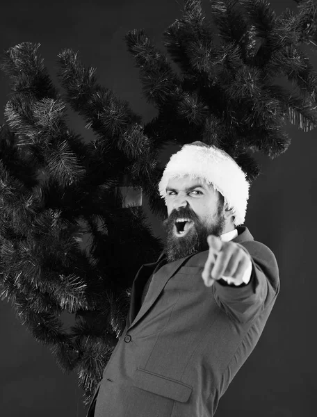 Cheerful man in Santas hat carries bald Christmas tree