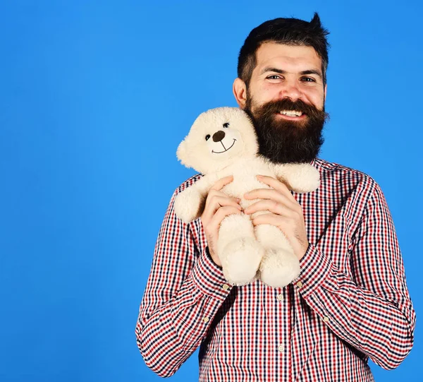Man holds teddy bear on blue background. Man with beard