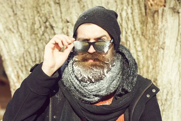 Brodaty mężczyzna przystojny, biodrówki, z brodą i wąsami w czarne okulary przeciwsłoneczne, czapka, szalik, pokryte szron stoi w pobliżu drzewa na zimowy dzień na zewnątrz na naturalne zadumany — Zdjęcie stockowe
