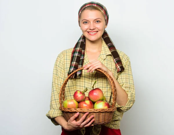 Woman gardener rustic style hold basket with apples harvest on light background. Lady farmer proud of her harvest. Apple crops and gardening concept. Woman cheerful carry basket with natural fruits