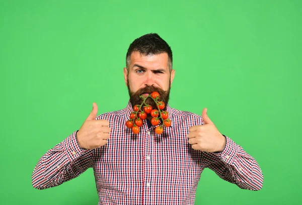 Farmer with confident face holds bunch of red cherry tomatoes.