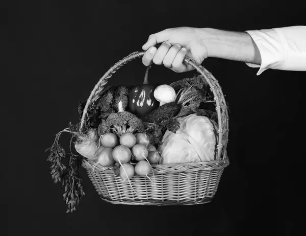 A gazdálkodó káposztát, retket, borsot, brokkolit, répát, gombát és salátát tart.. — Stock Fotó