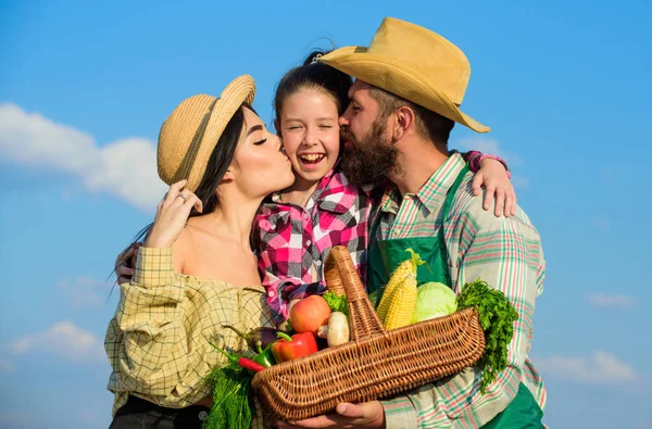 Family gardener basket harvest blue sky background. Family gardening. Family farm concept. Parents and daughter farmers celebrate harvest holiday. Family farmers hug kiss kid hold basket fall harvest