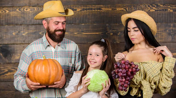 Családi gazdálkodók szüreti fa háttér. Családi rusztikus stílusú mezőgazdasági termelők piaci, az őszi betakarítás. Szülők és lánya ünnepli aratás ünnep tök zöldség gyümölcs. Szüreti Fesztivál-koncepció — Stock Fotó