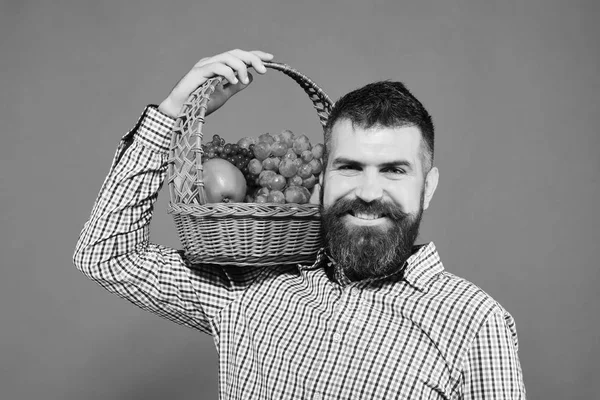 Mann mit Bart hält Korb mit Obst auf Schulter — Stockfoto