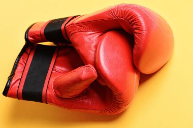 Spor ve dövüş sanatları konsepti. Deri kutu ekipmanı