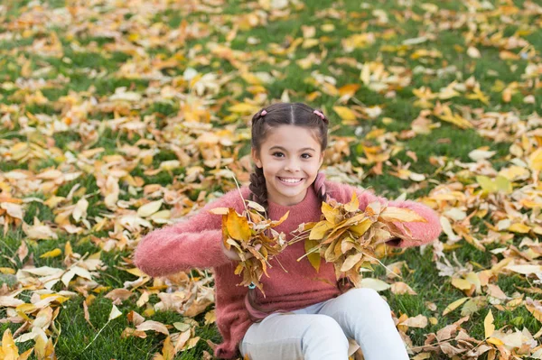 Sonbahar yaprakları ile küçük çocuk. Sonbahar ormandaki mutlu küçük kız. Mutlu çocukluk. Okul zamanı. Sonbahar yaprakları ve doğa. Sonsuza kadar burada kalacaktı. Moda güzellik. Özgür ve rahat hissediyorum