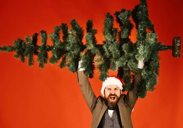 Businessman with excited face holds bald Christmas tree up. — Stock Photo, Image