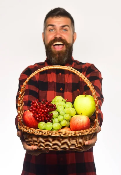 수염이 있는 사람이 하얀 배경에 과일을 담은 바구니를 들고 있다, — 스톡 사진
