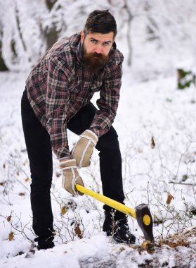 Sıcak eldivenli bir adam ormanda baltayı ağaca sapladı..