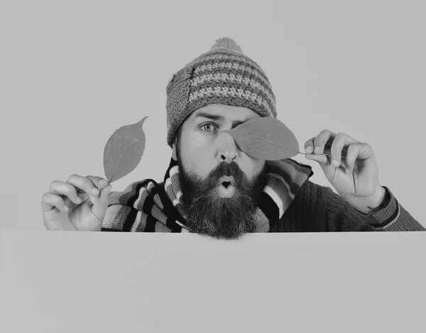 Hipster szakállal és meglepett arccal játszik száraz levelekkel — Stock Fotó
