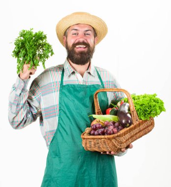 Taze organik sebze hasır sepet. Hipster bahçıvan önlük taşımak sebze giymek. Çiftçi hasır şapka tutun maydanoz ve sepet sebze. Adam izole sunan sebze beyaz arka plan sakallı