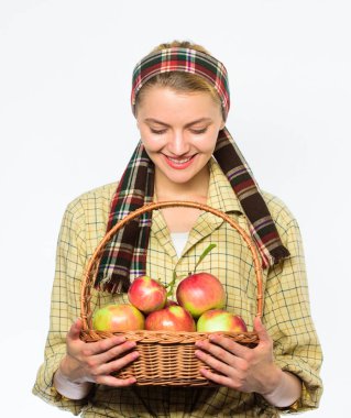 Zaman kavramı hasat. Bayan çiftçi ya da bahçıvan onu hasat gurur. Kadın neşeli doğal meyve sepeti taşımak. Kadın bahçıvan rustik tarzı tutun elma hasat beyaz arka plan ile sepet