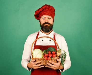 Şef lahana, turp, brokoli ve havuç tutuyor..