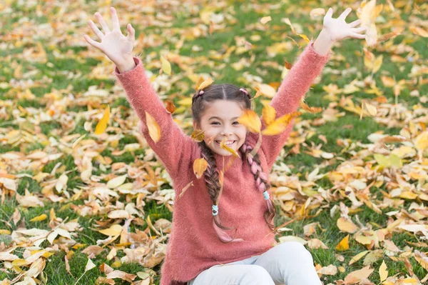 Маленька дитина з осіннім листям. Осіннє листя і природа. Щаслива дівчинка в осінньому лісі. Щасливе дитинство. Шкільний час. Радий бути поруч. Насолоджуйся осіннім днем. Закохані в природу — стокове фото
