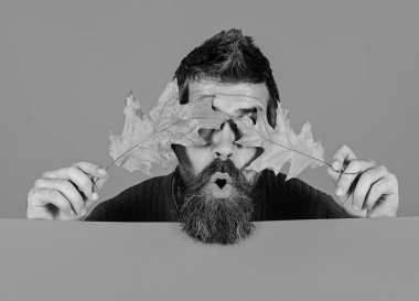 Hipster sakal ve sürpriz gizli yüz