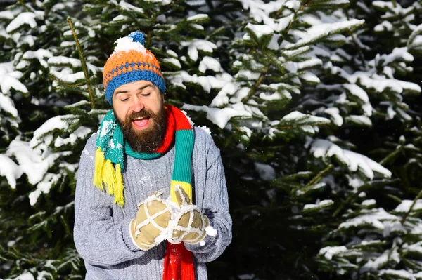 Man with hat, scarf and gloves. Macho with beard